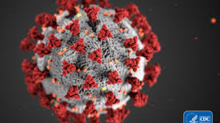 Billede af en coronavirus